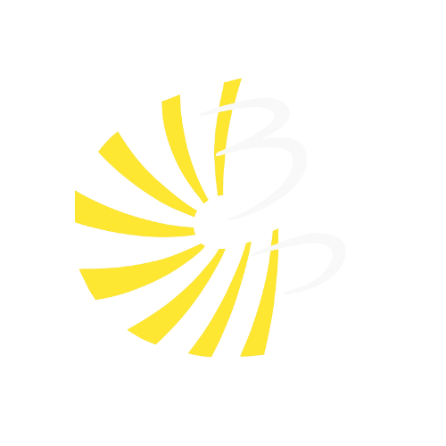 Brodski Harmonikaški orkestar Bela pl. Panthy